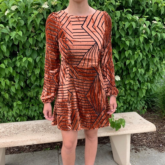 Line & Dot Nouveau Mini Swing Rust Dress - Picture 4 of 8